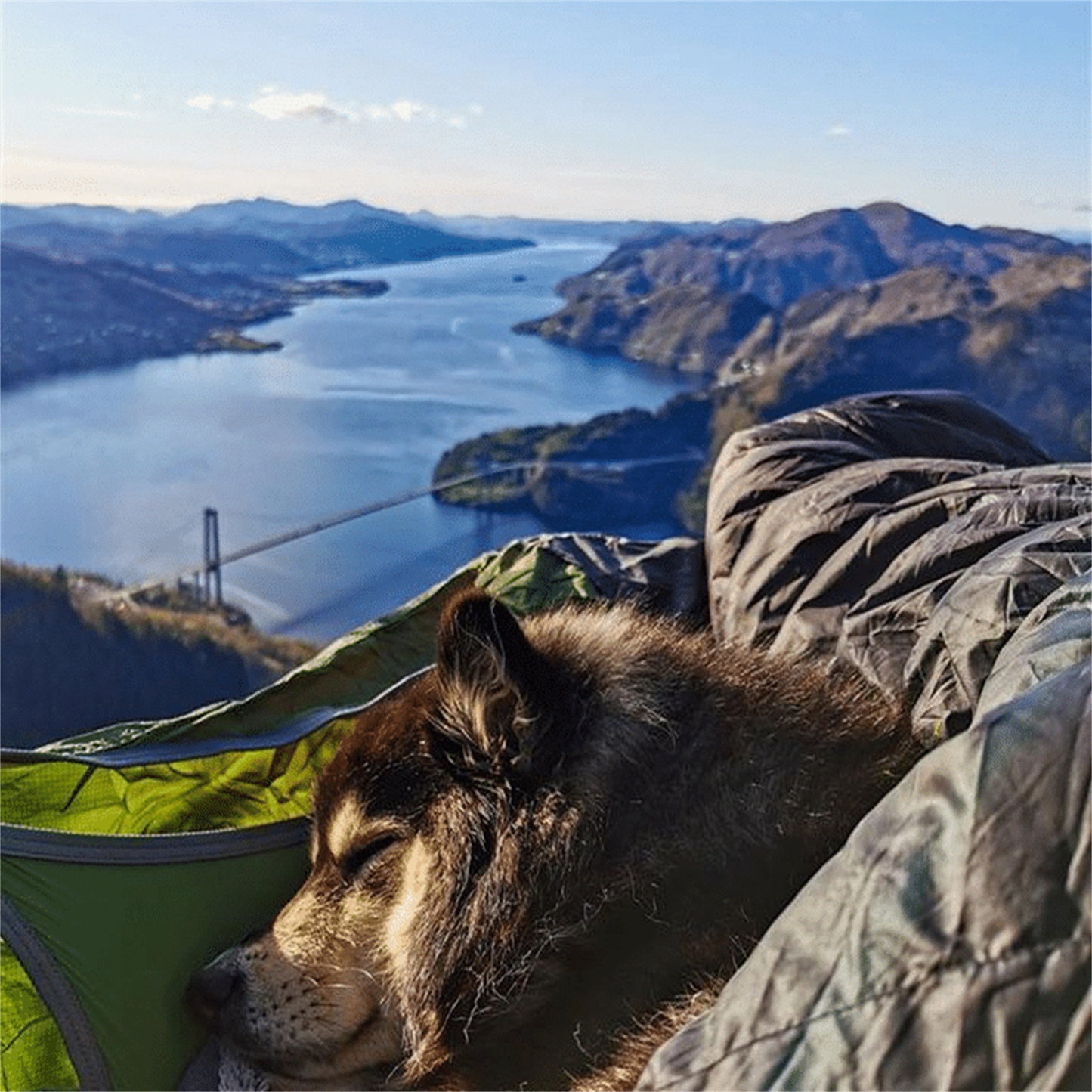 SleepScape Versatile Hammocking System