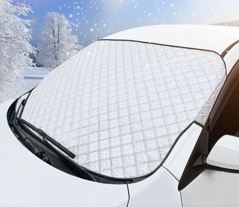 Snowguard Car Shield