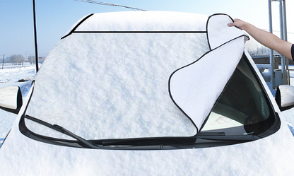 Snowguard Car Shield