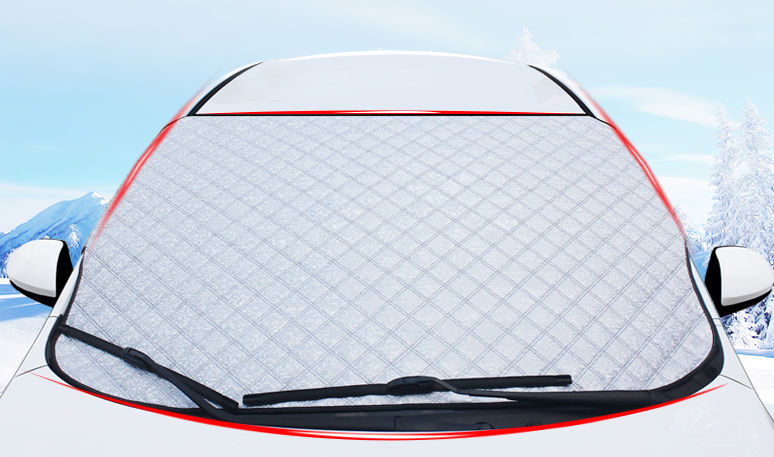 Snowguard Car Shield