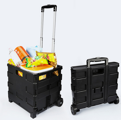 Auto Trolley Suitcase